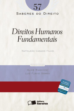 Download Direitos Humanos Fundamentais Vol 57 Col. Saberes Do Direito Napoleão Casado Filhoem epub mobi e pdf