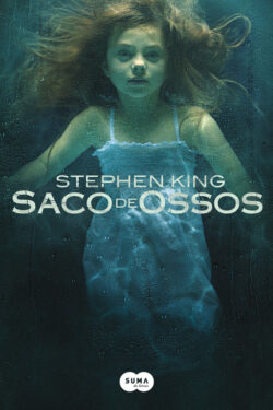 Download Saco de Ossos Stephen King em epub mobi e pdf