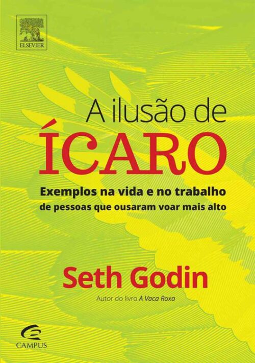 Baixar Livro A ilusao de icaro Seth Godin em PDF ePub e Mobi