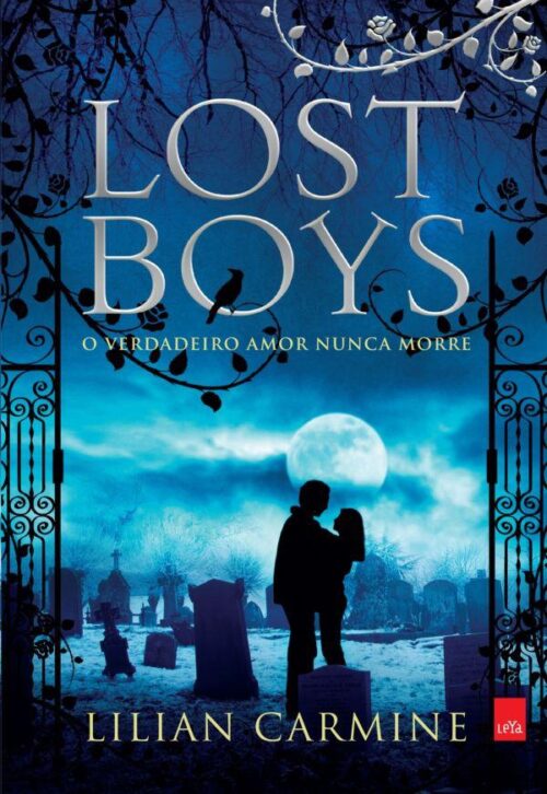 Baixar Livro Lost Boys Lilian Carmine em PDF ePub e Mobi