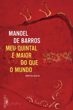 Baixar Livro Meu Quintal e Maior do Que o Mundo Manoel de Barros em Pdf mobi e epub