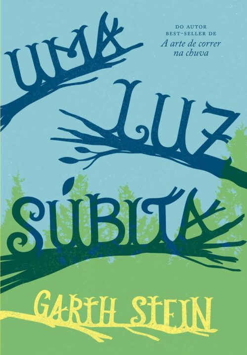 Baixar Livro Uma Luz Subita Garth Stein em PDF ePub e Mobi