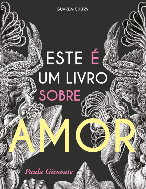 Baixar Livro Este e um livro sobre amor Paula Gicovate em PDF ePub e Mobi