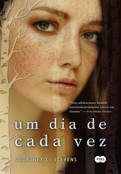 Baixar Livro Um Dia de Cada Vez Faking Normal Vol 01 Courtney C Stevens em PDF ePub e Mobi