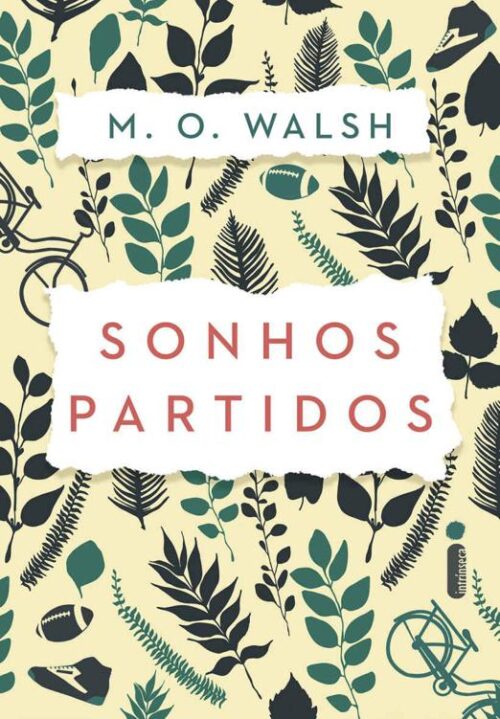 Baixar Livro Sonhos partidos M O Walsh em PDF ePub e Mobi ou ler online