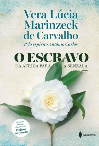 Baixar Livro o Escravo da Africa para a Senzala Vera Lucia Marinzeck de Carvalho Em Epub Pdf Mobi Ou Ler Online large