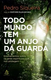 baixar livro todo mundo tem um anjo da guarda pedro siqueira em pdf epub mobi ou ler online